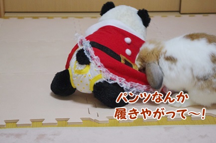 IMGP5911.jpg
