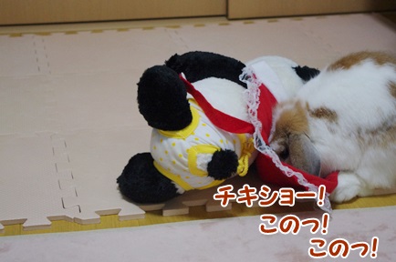 IMGP5912.jpg