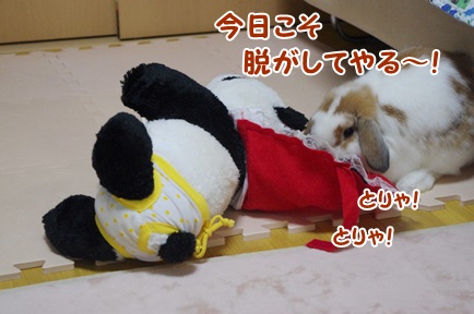 IMGP5913.jpg