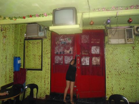 DSC00740_480.jpg
