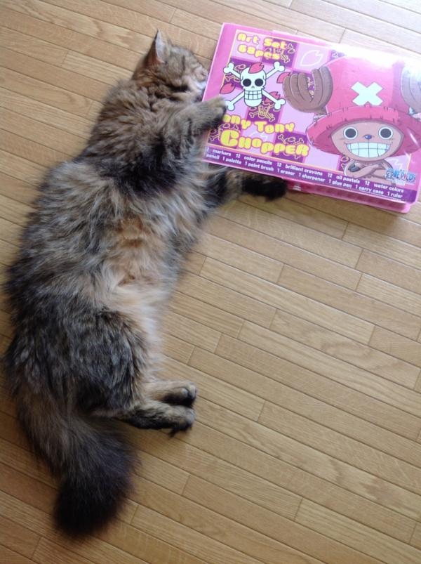 image_20130616145835.jpg
