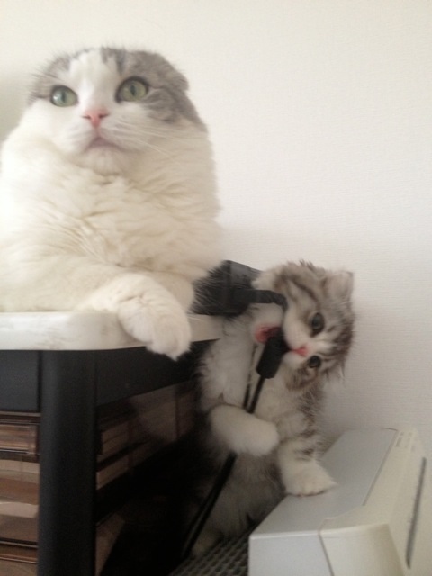 image_20130618094629.jpg