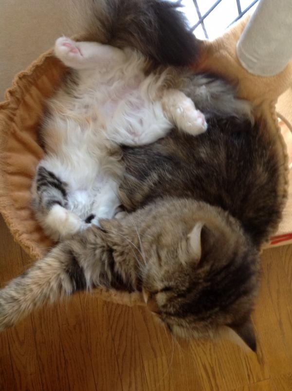 image_20130724182722.jpg