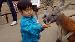 DSC00145130330.jpg