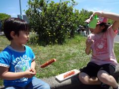 DSC00883130512.jpg
