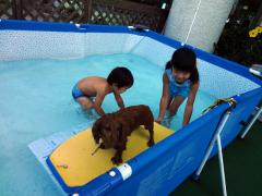 DSC01337110830.jpg