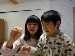 DSC05256141226.jpg