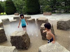 IMG_0121130707.jpg