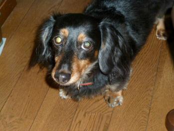 !!_20111028214113.jpg