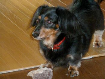 !_20110924004331.jpg