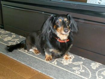 1_20110924004329.jpg