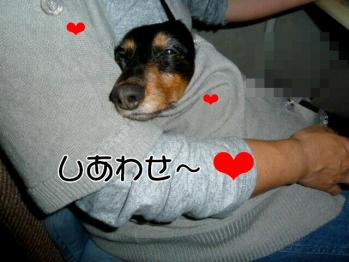 ハート