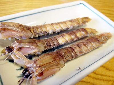 20120225_01.jpg