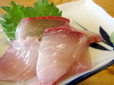 20120225_02.jpg