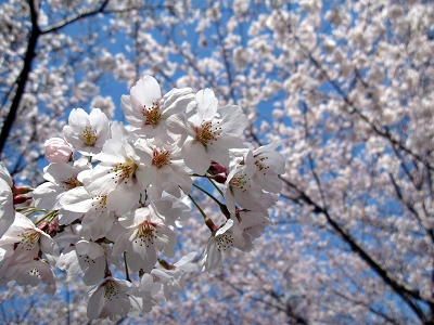 20120408 02