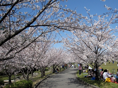 20120408 01