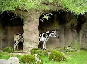 20120424thum.jpg