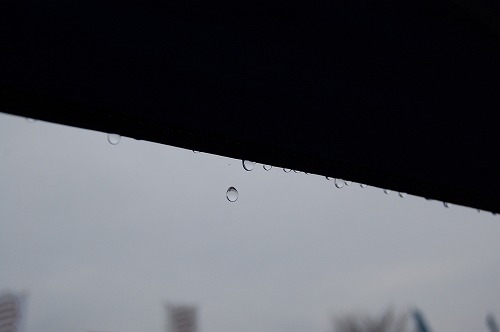 DSC_8906.jpg