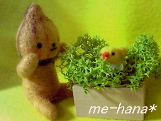 tamanegi2.jpg