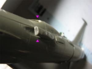 dc010.jpg