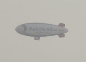 mla01.jpg