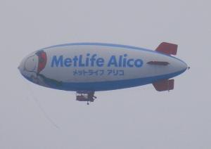 mla02.jpg