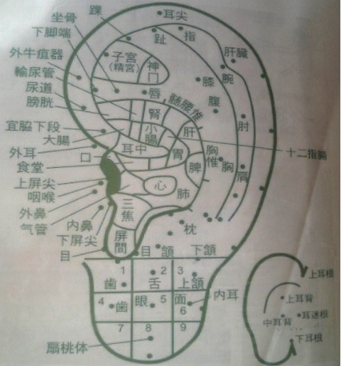 中国気功整体 康寿堂 中国語教室 中国留学 旅行無料相談 国際結婚