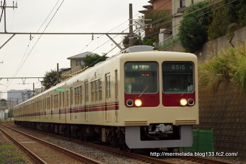 IMGP8201.jpg