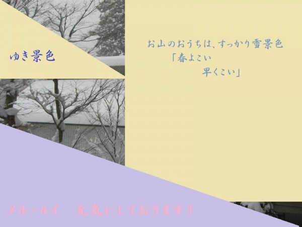 111006.jpg