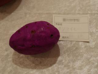 bunkasai111015-6.jpg