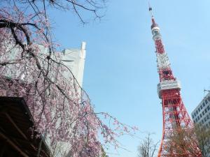 0402桜タワーbanner