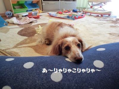 CIMG0203_20120224202555.jpg