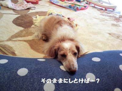CIMG0205_20120224203411.jpg
