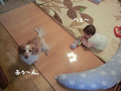 CIMG0603.jpg
