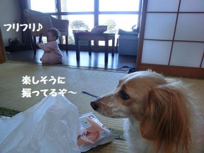 CIMG0670.jpg