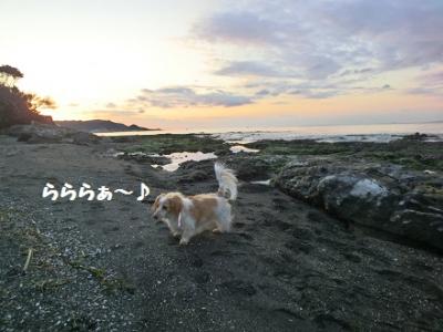 CIMG0679_20120218171856.jpg