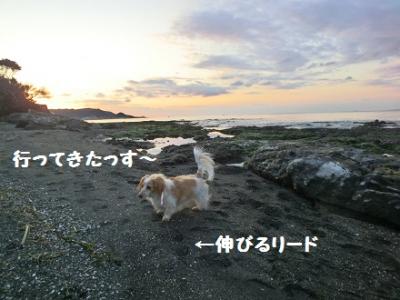 CIMG0679.jpg