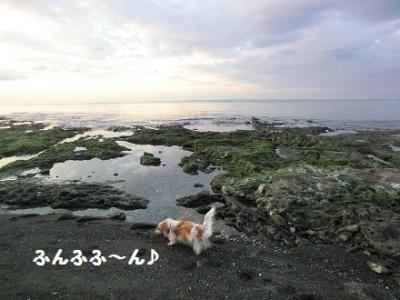 CIMG0681.jpg