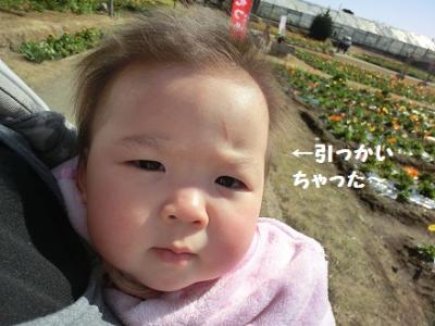 CIMG0782.jpg