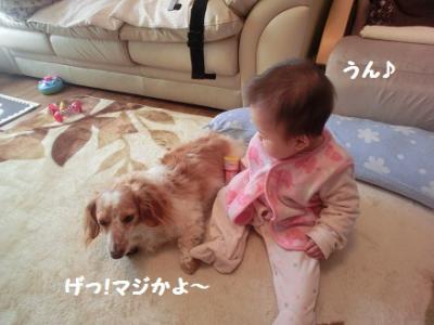 CIMG0803.jpg