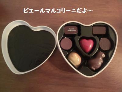 CIMG0821_20120214170323.jpg
