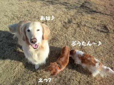 CIMG0844_20120227165642.jpg