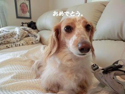 CIMG0907_20120226202137.jpg