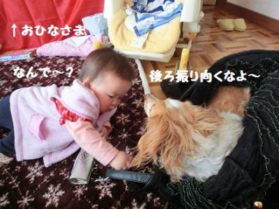 CIMG0922_20120228182226.jpg