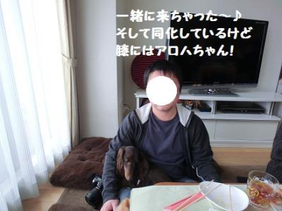 CIMG1108.jpg