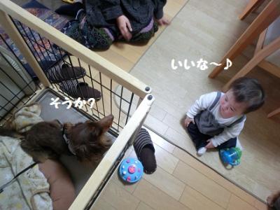 CIMG1148_20120313151048.jpg