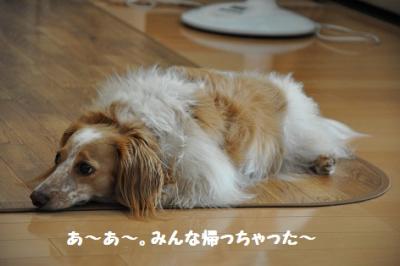 DSC_0050_20110829080510.jpg