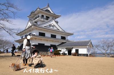 DSC_0886_20120215181832.jpg