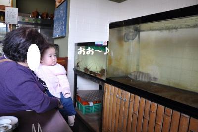 DSC_0906_20120216163806.jpg