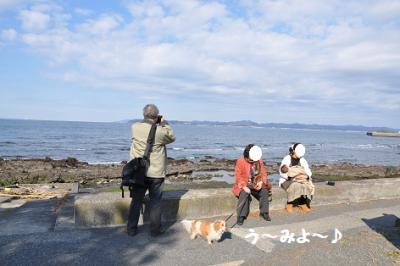 DSC_0925_20120217202943.jpg